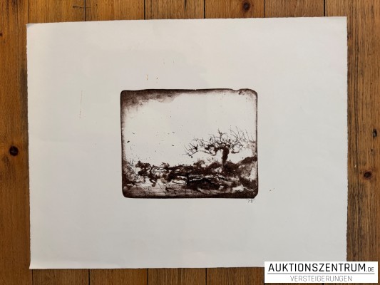 Horst Janssen signierte Lithografie 
