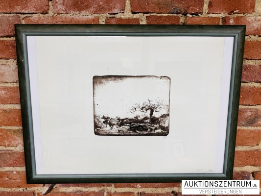 Horst Janssen signierte Lithografie 